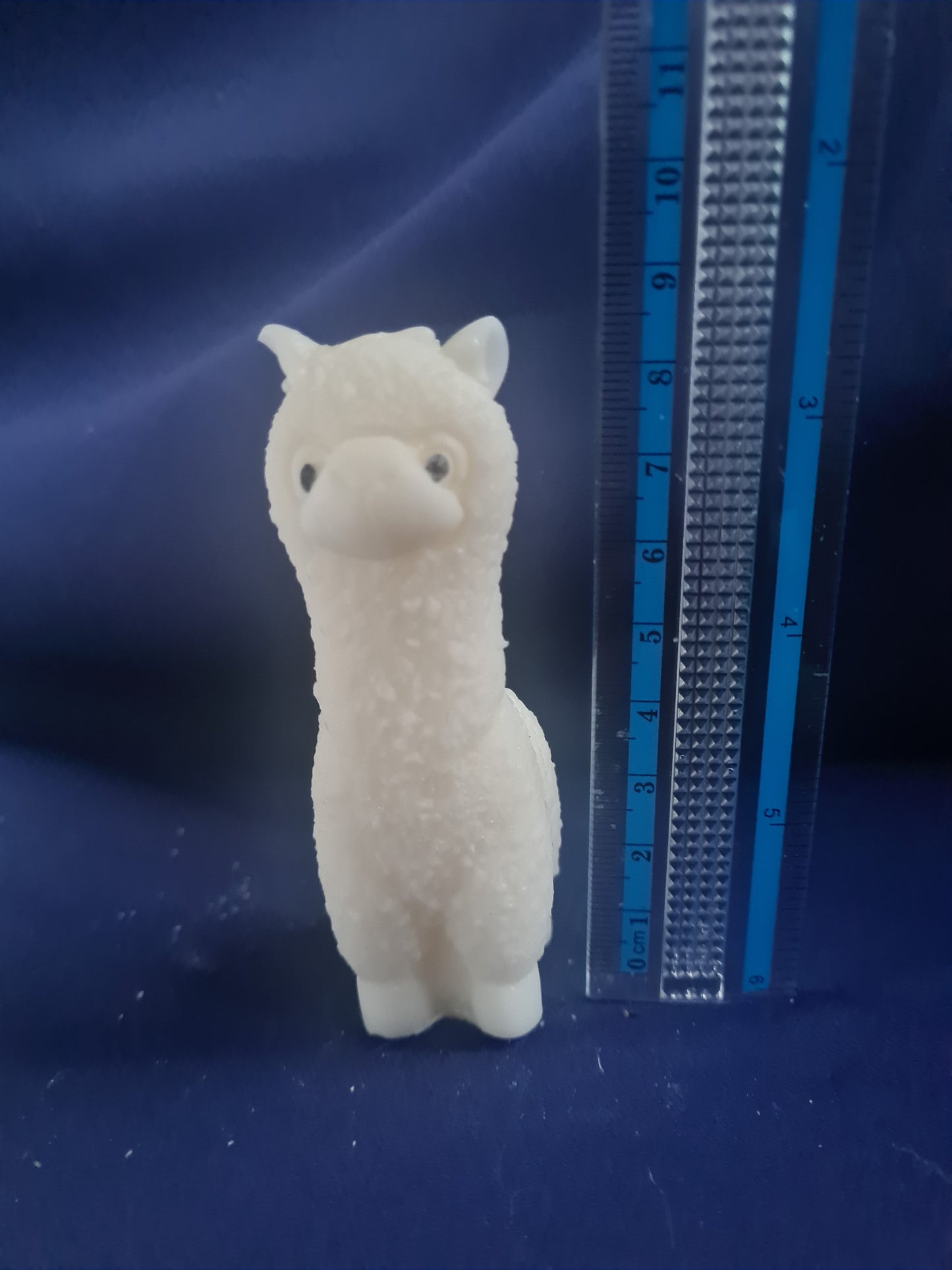 Alpaca