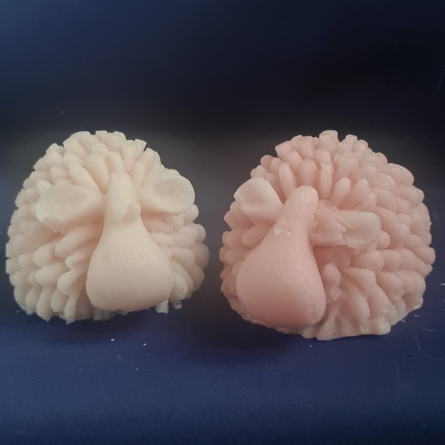 3D Sheep