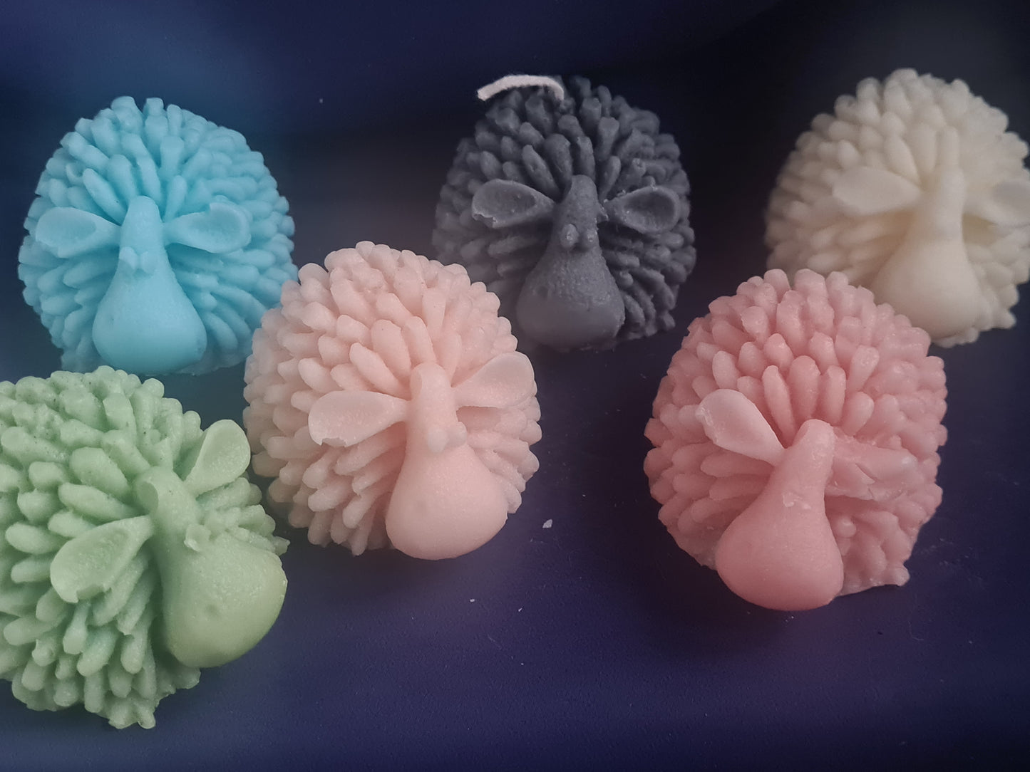 3D Sheep