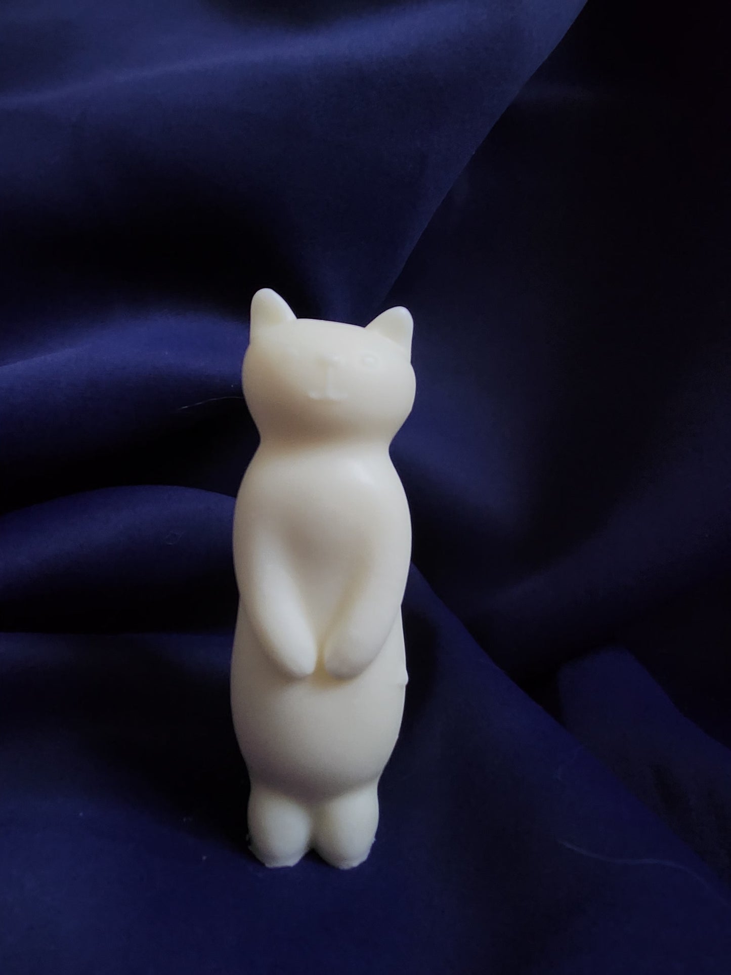 Stand-up kitty