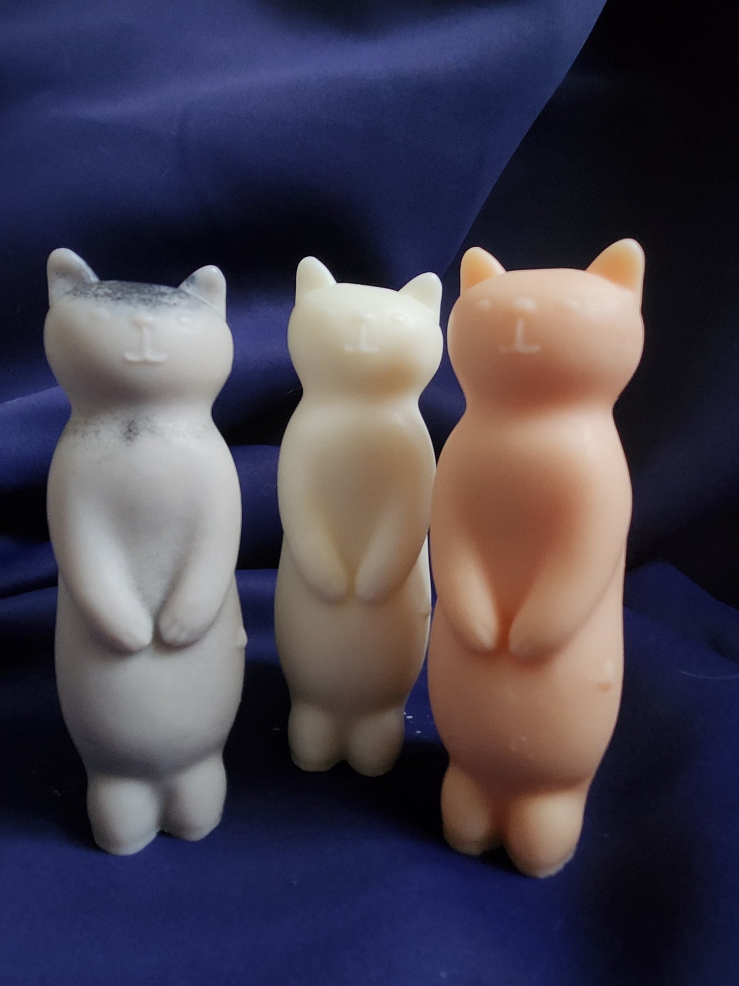 Stand-up kitty