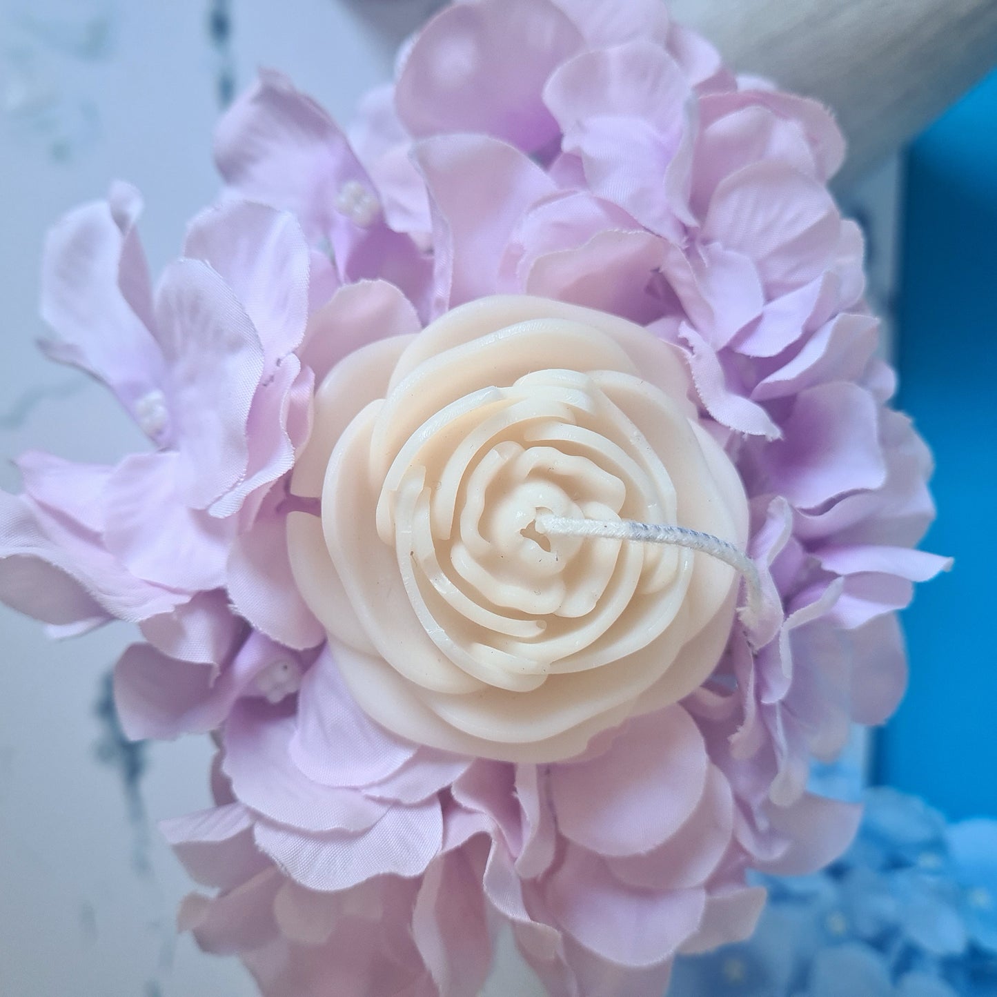 Open Rose