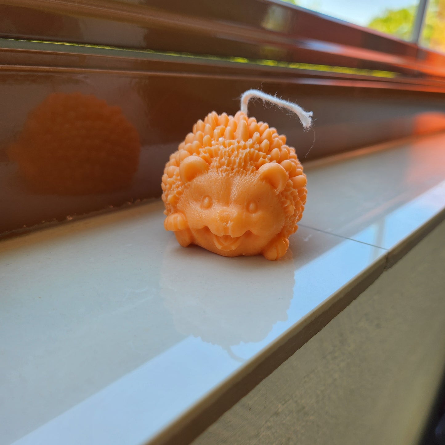 Smiling Hedgehog