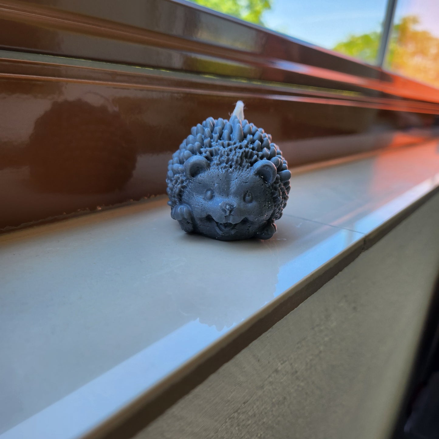 Smiling Hedgehog
