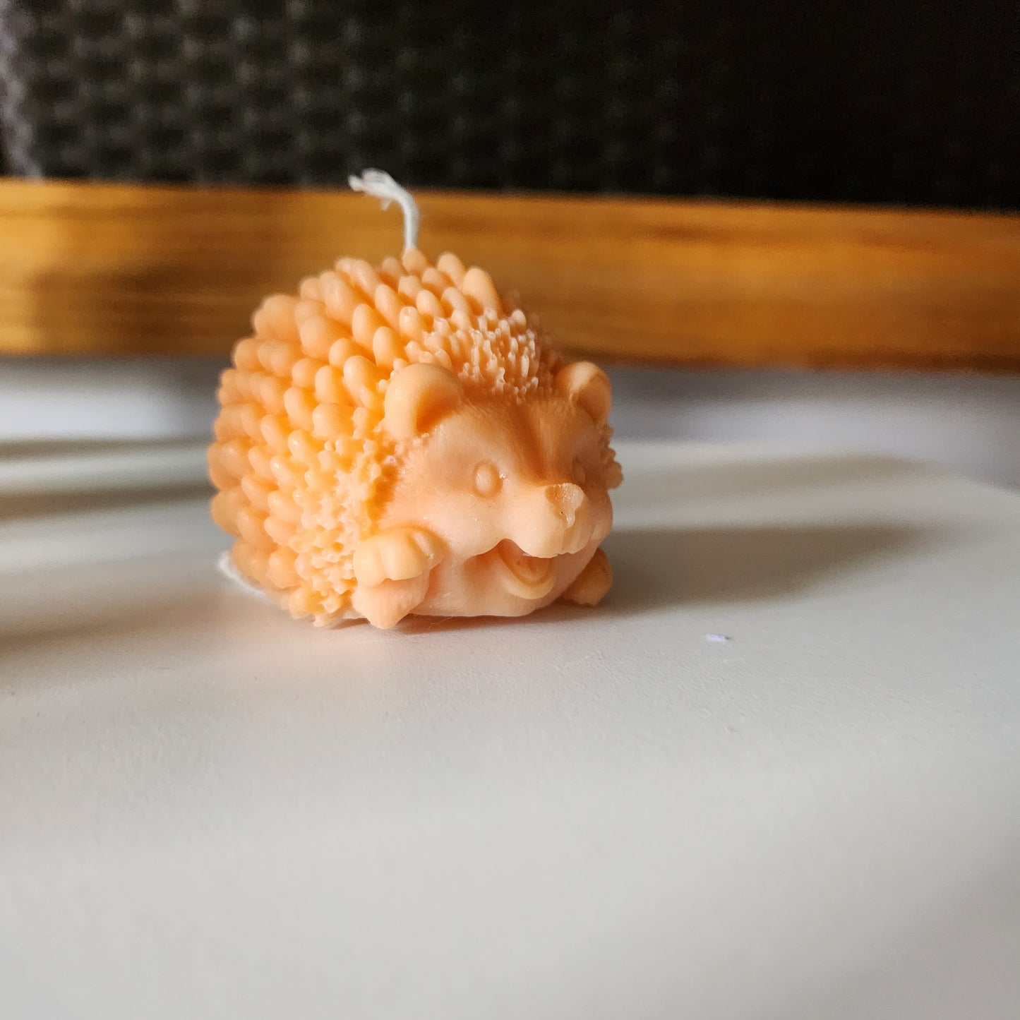 Smiling Hedgehog