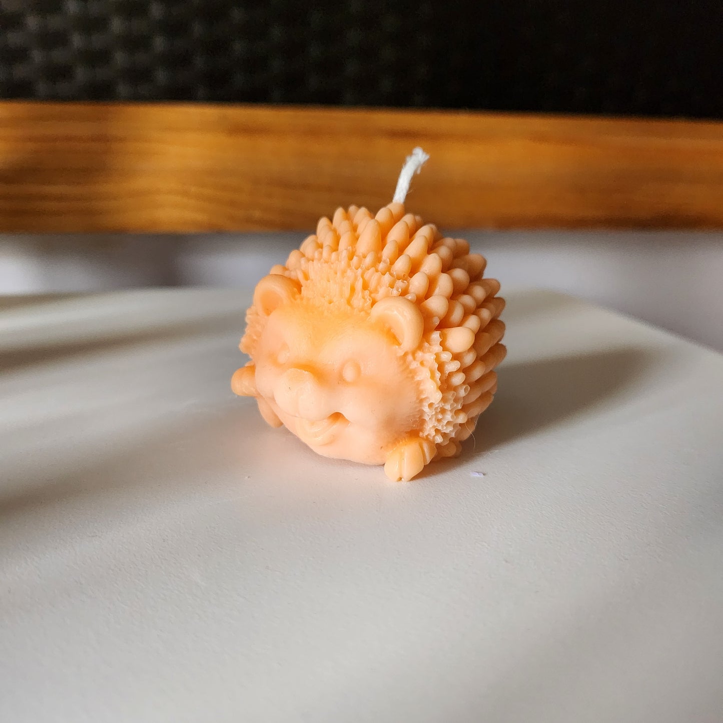 Smiling Hedgehog