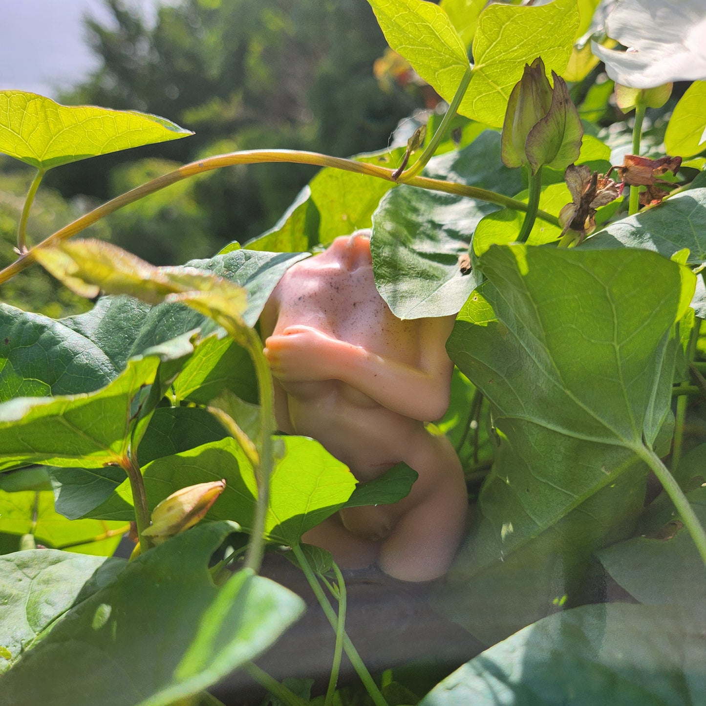 Shy Modest Nude Woman