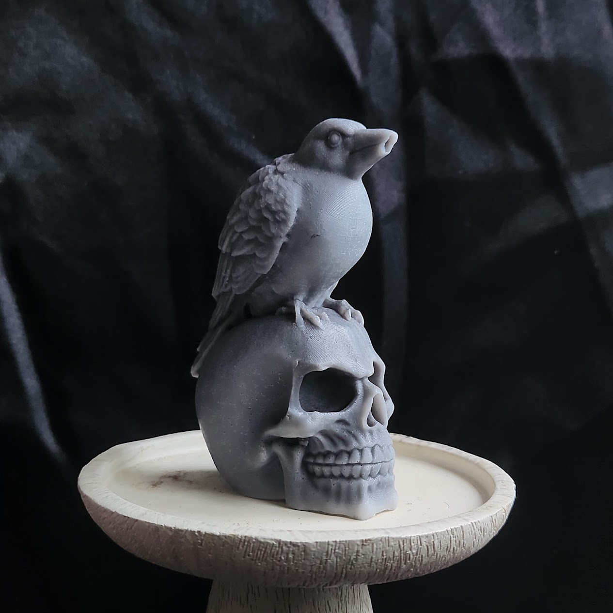 Skull and Crow