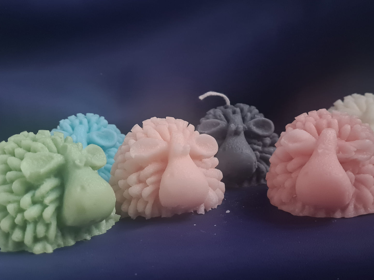 3D Sheep