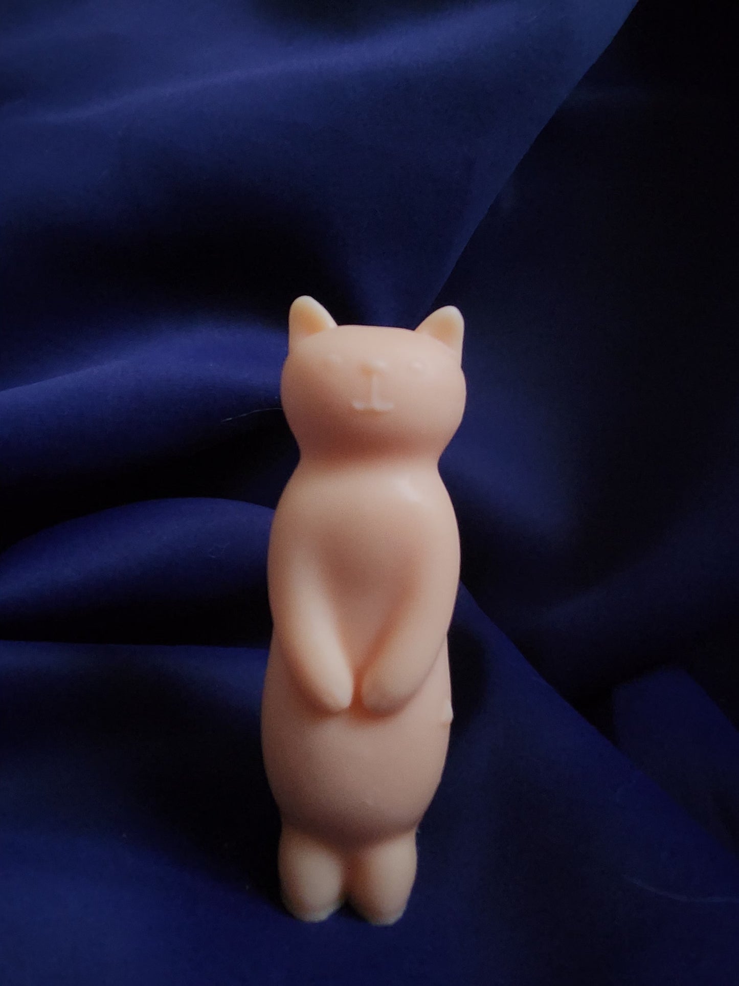 Stand-up kitty