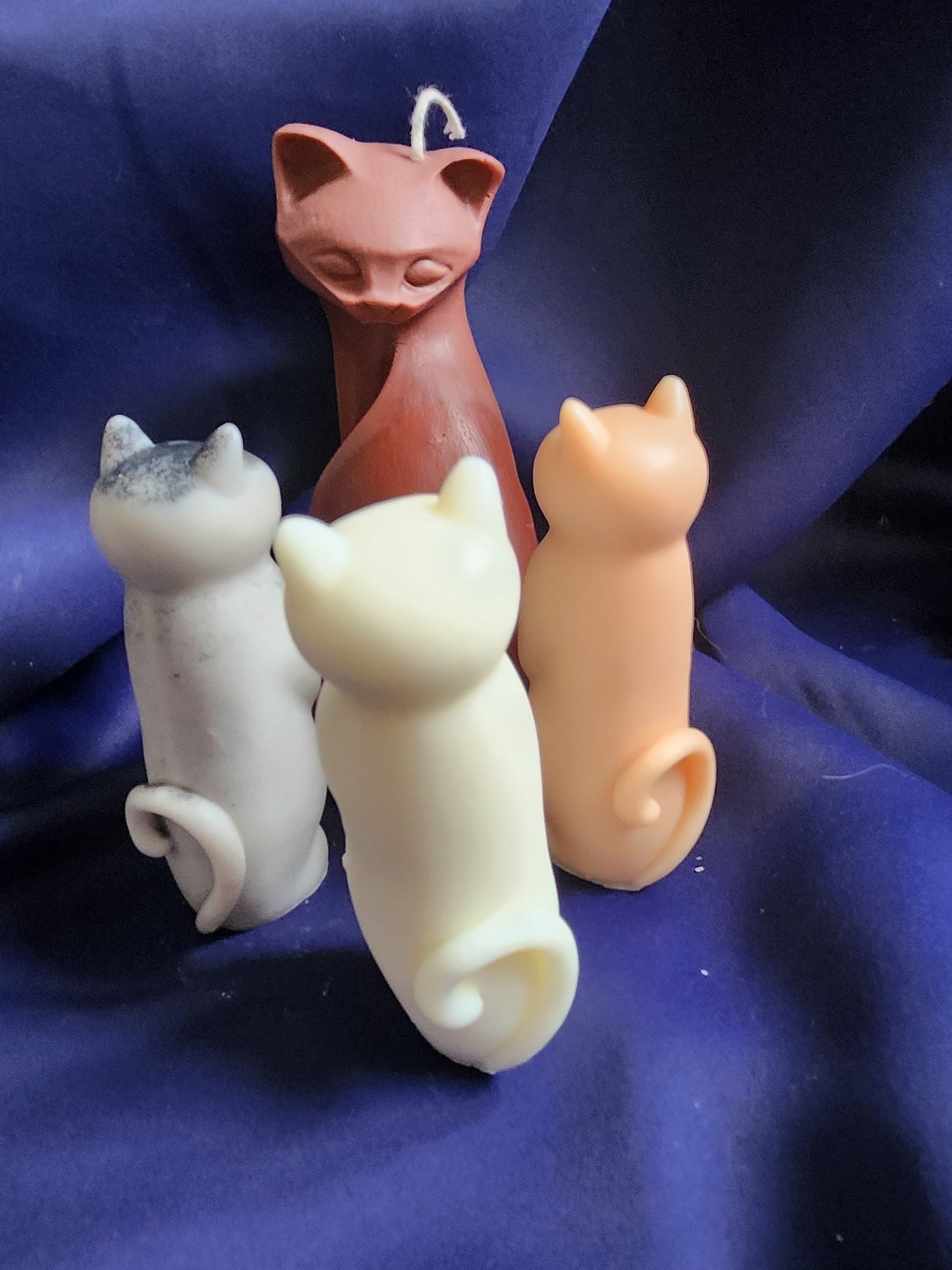 Stand-up kitty