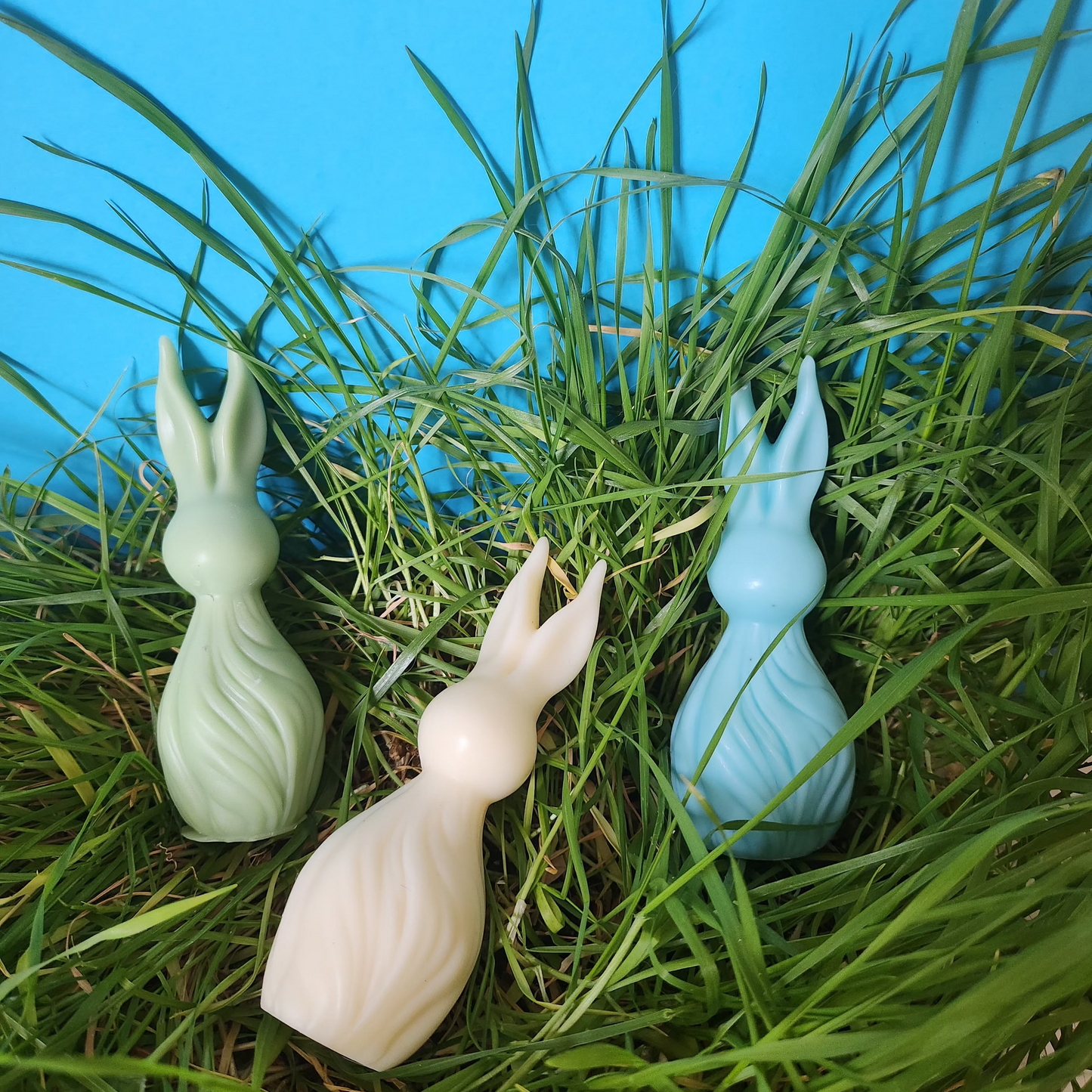Abstract Rabbit