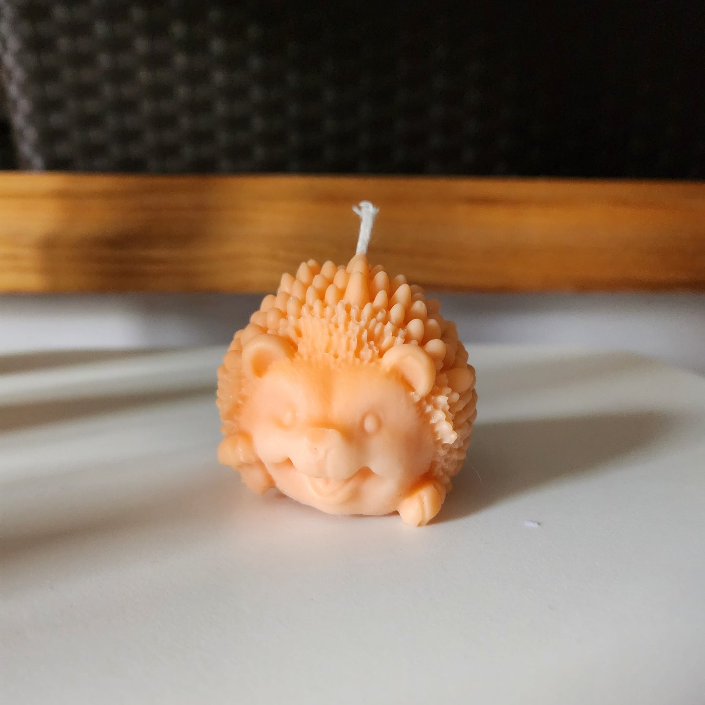 Smiling Hedgehog