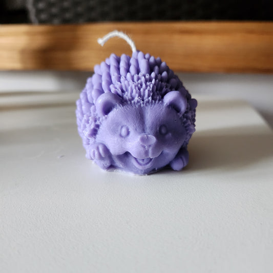 Smiling Hedgehog