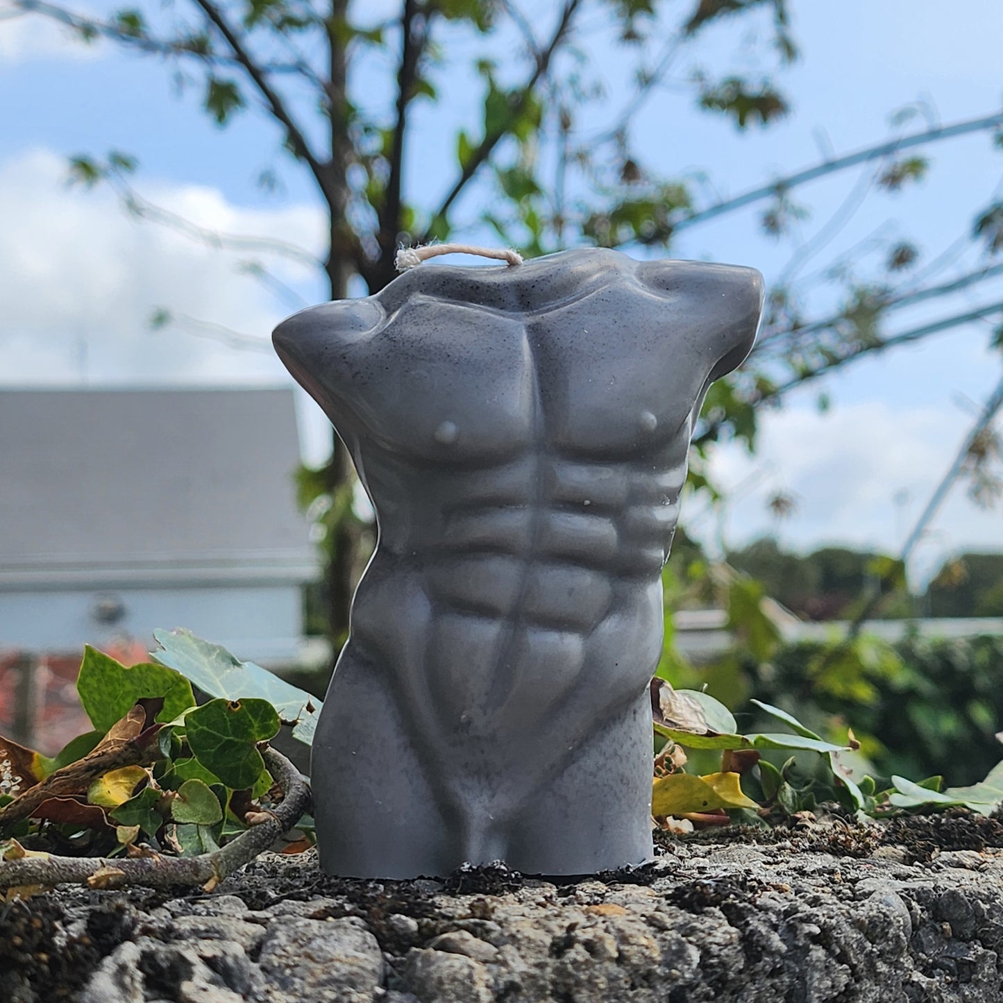 Nude Male Torso