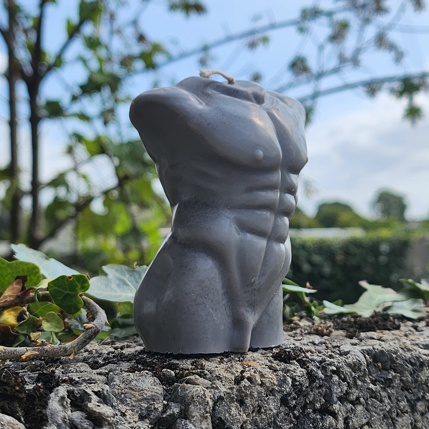 Nude Male Torso