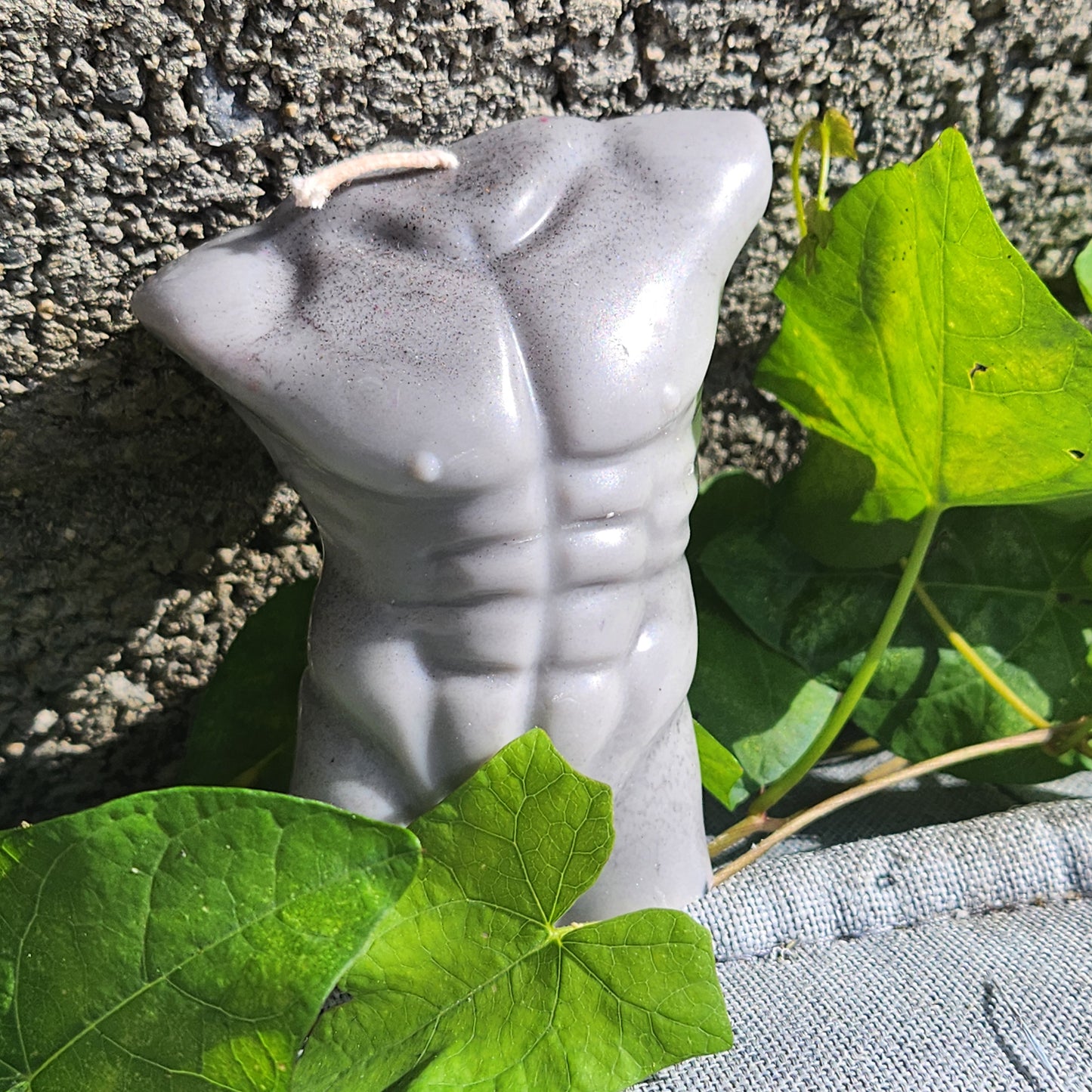Nude Male Torso