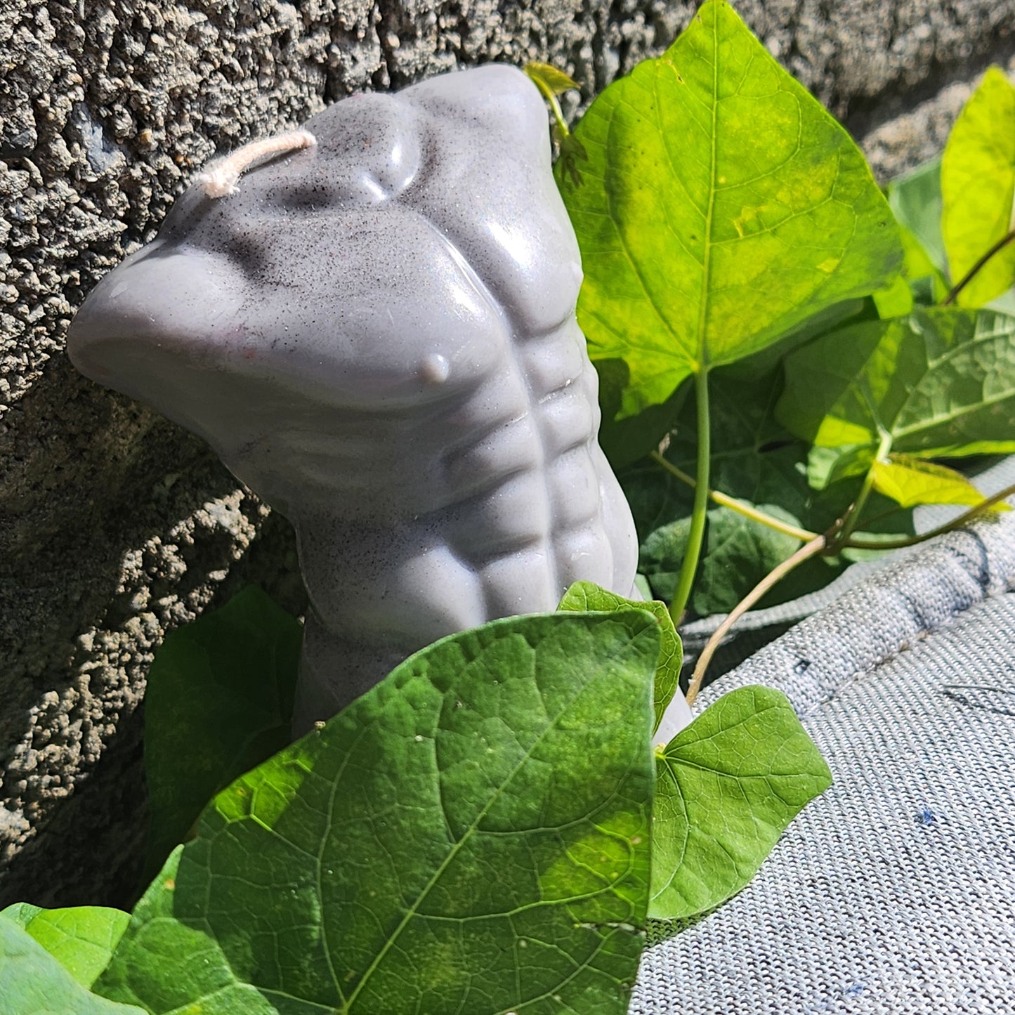 Nude Male Torso