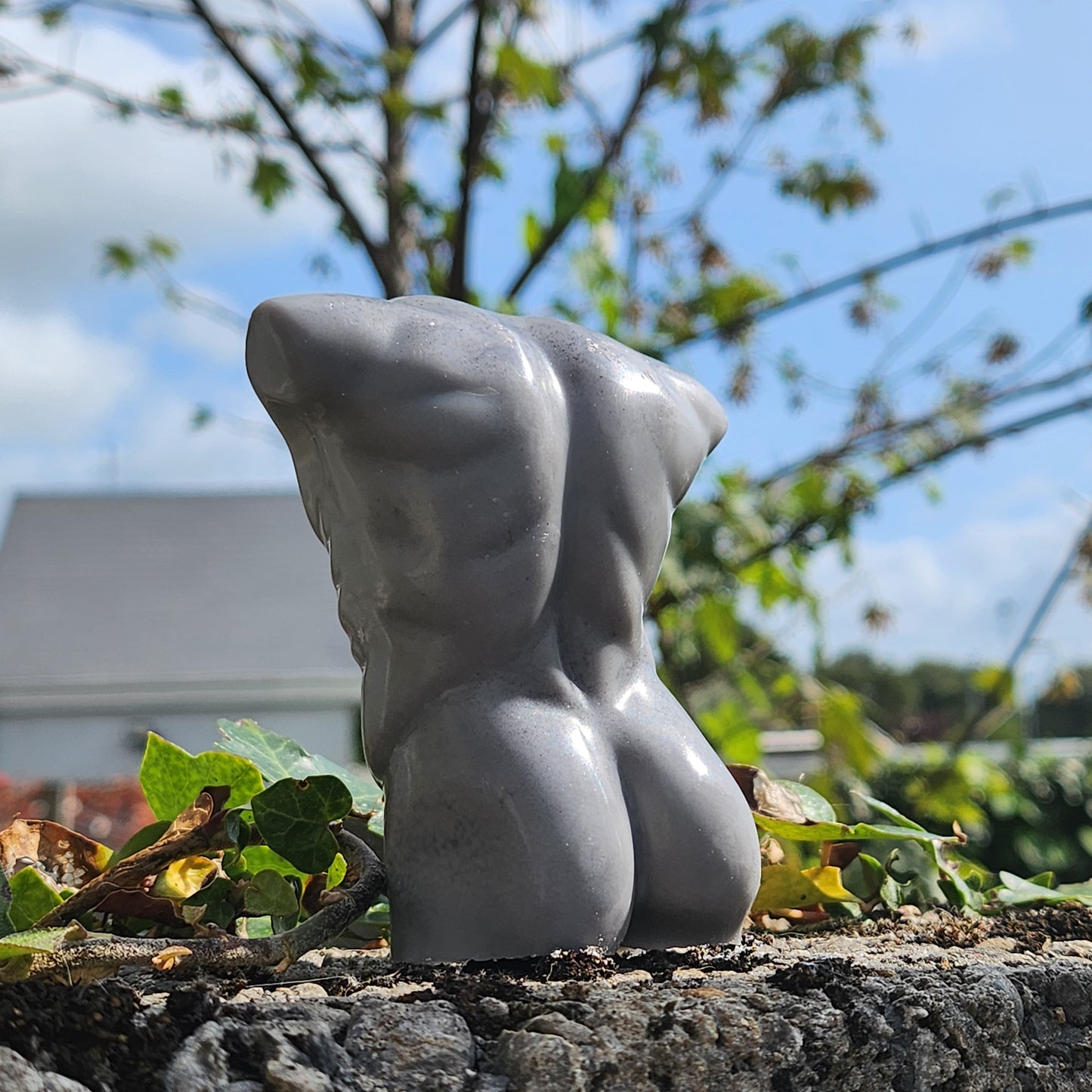 Nude Male Torso