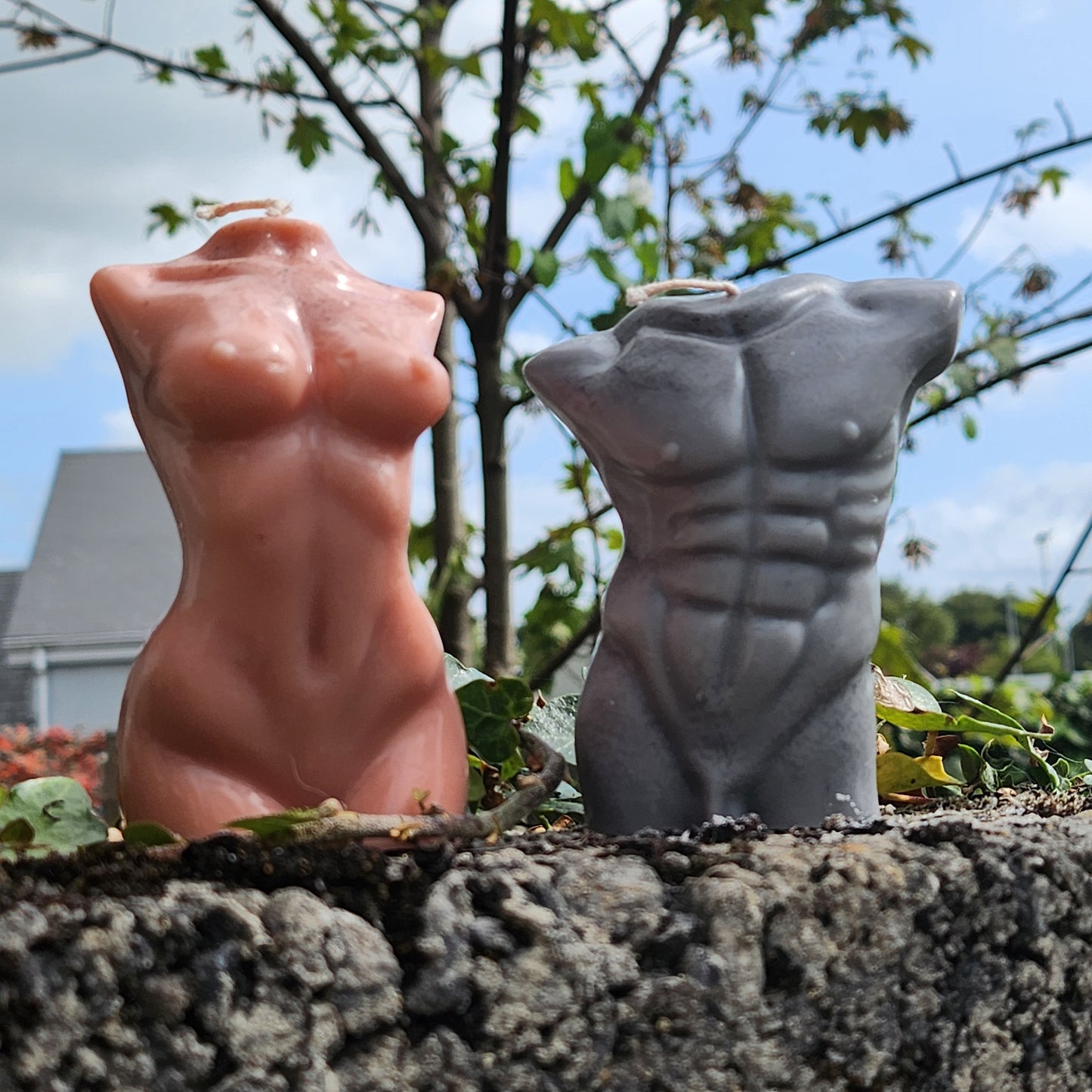 Nude Female Torso
