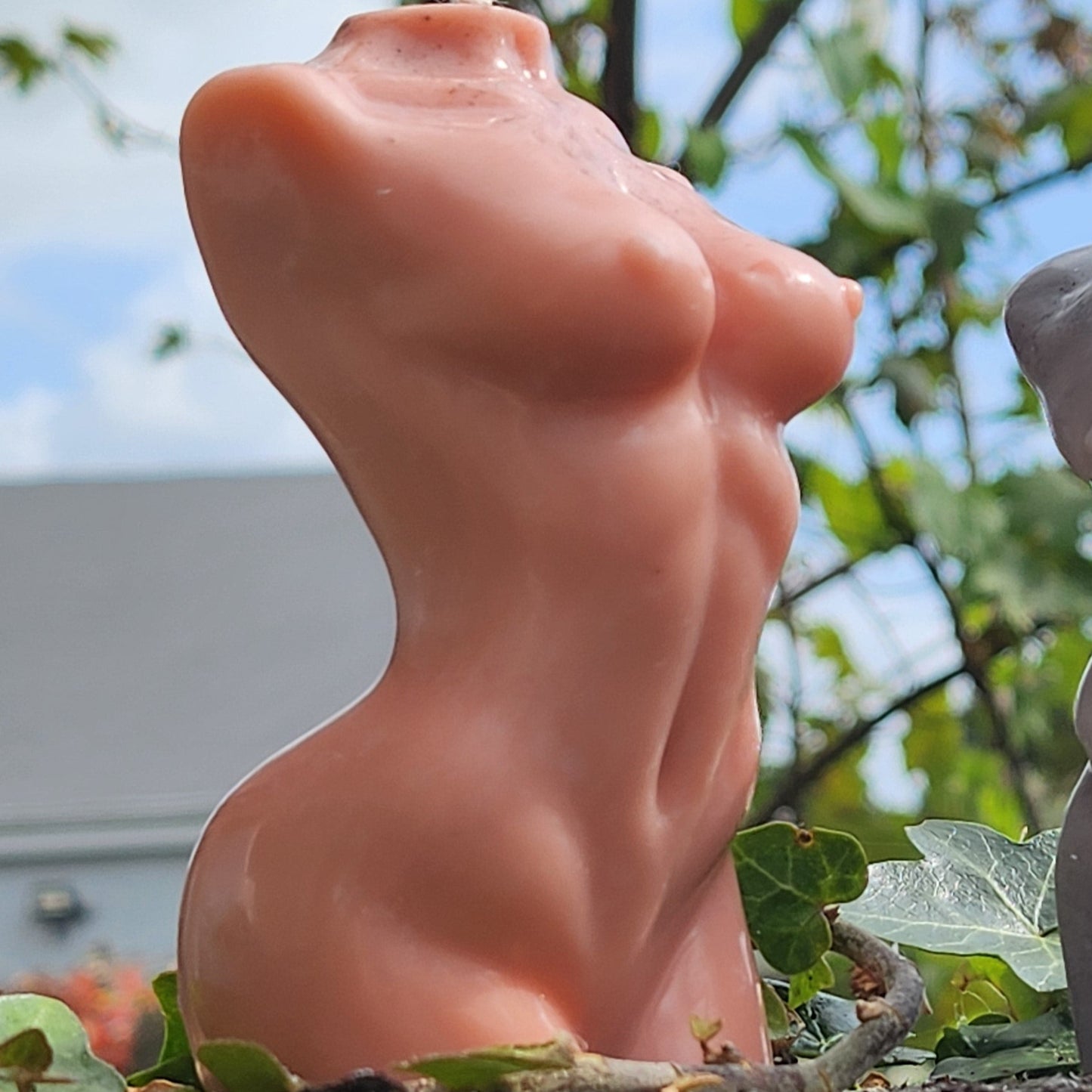 Nude Female Torso